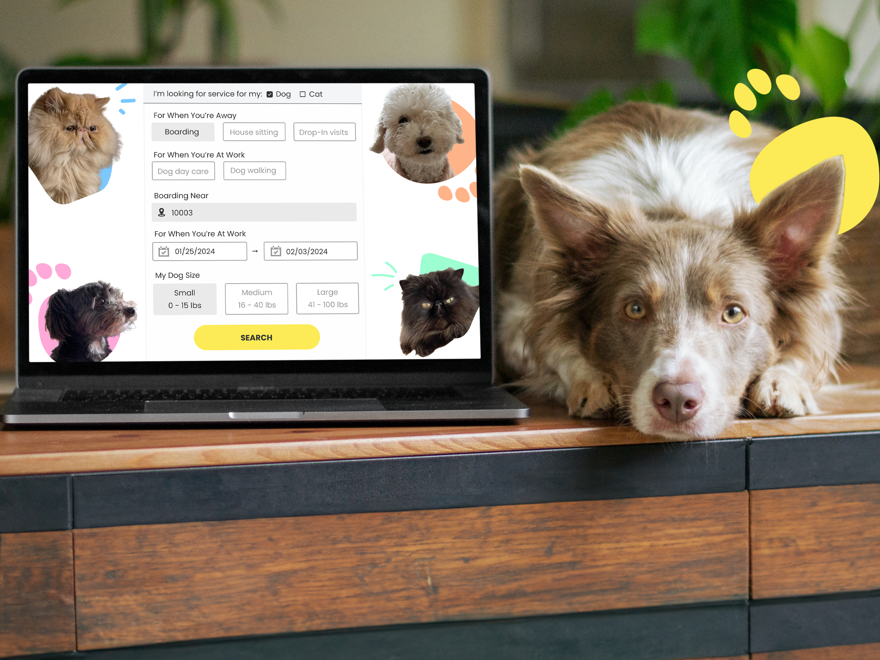 ui ux visual design project of luxury flower ordering app